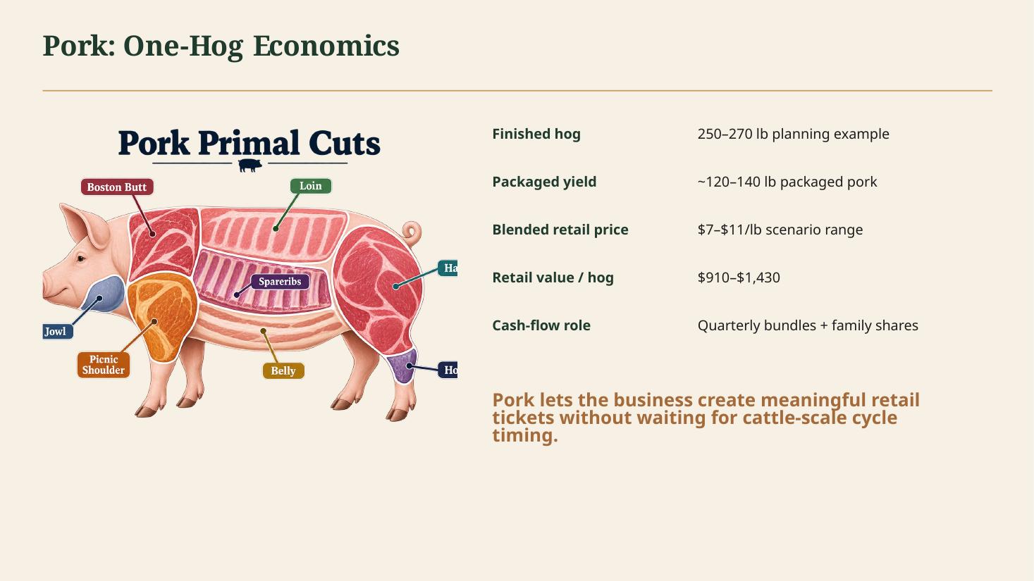 Investor pitch deck slide 7 of 18